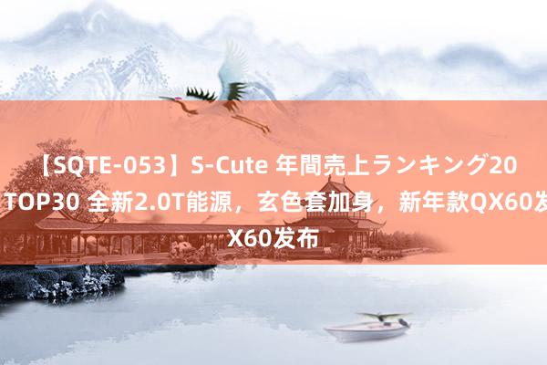 【SQTE-053】S-Cute 年間売上ランキング2013 TOP30 全新2.0T能源，玄色套加身，新年款QX60发布