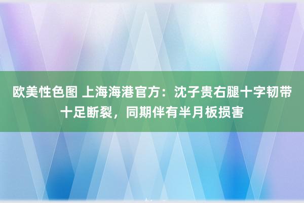 欧美性色图 上海海港官方：沈子贵右腿十字韧带十足断裂，同期伴有半月板损害