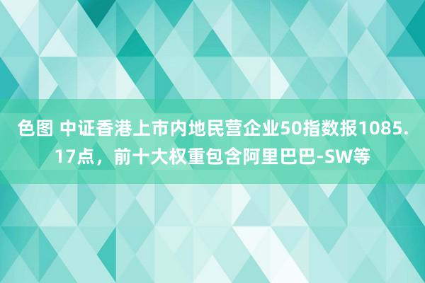 色图 中证香港上市内地民营企业50指数报1085.17点，前十大权重包含阿里巴巴-SW等