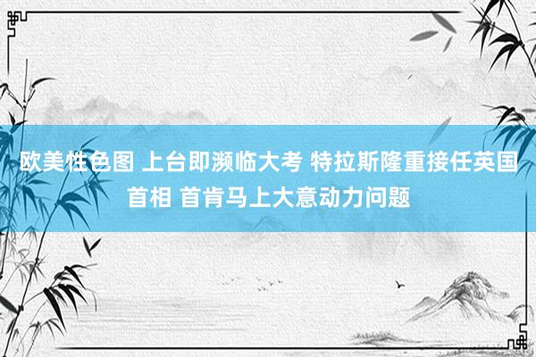 欧美性色图 上台即濒临大考 特拉斯隆重接任英国首相 首肯马上大意动力问题