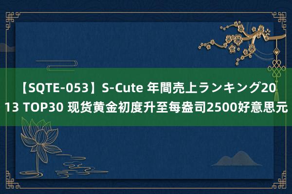 【SQTE-053】S-Cute 年間売上ランキング2013 TOP30 现货黄金初度升至每盎司2500好意思元