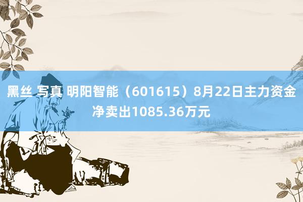 黑丝 写真 明阳智能（601615）8月22日主力资金净卖出1085.36万元