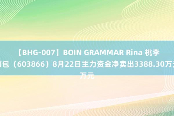 【BHG-007】BOIN GRAMMAR Rina 桃李面包（603866）8月22日主力资金净卖出3388.30万元