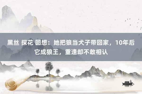 黑丝 探花 回想：她把狼当犬子带回家，10年后它成狼王，重逢却不敢相认