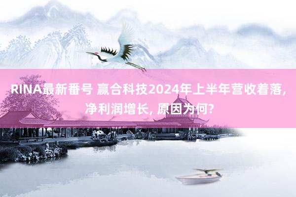 RINA最新番号 赢合科技2024年上半年营收着落, 净利润增长, 原因为何?